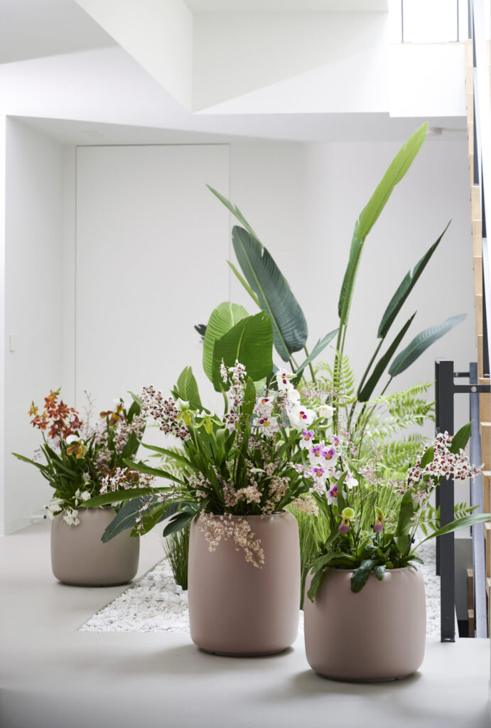 These Are The 4 Style Trends For 2024   Bloemenbureau Arrangement Te Gebruiken Tot 2025 09 08 3Dendrobium Paphiopedilum Strelitzia Nicolai Scaled E1686754517258 691x1024 