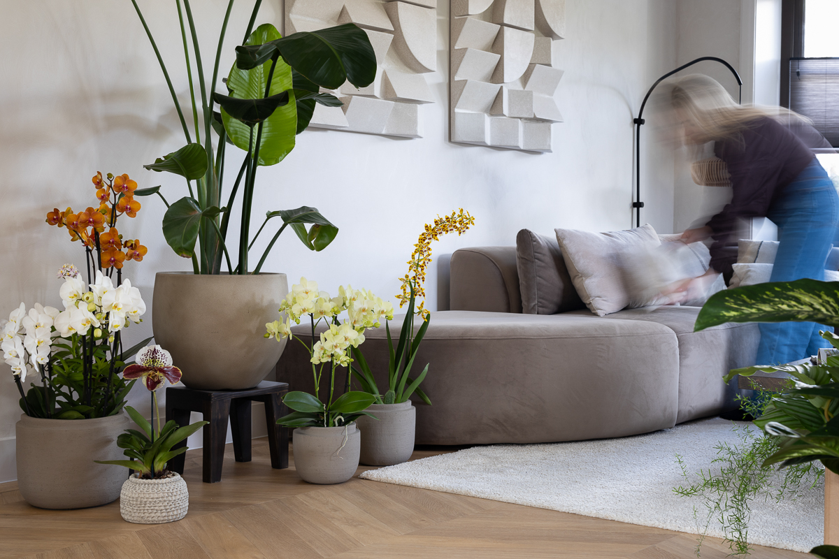 Boost je welzijn met een gezellige plantenhoek / Tips voor een warm en knus interieur