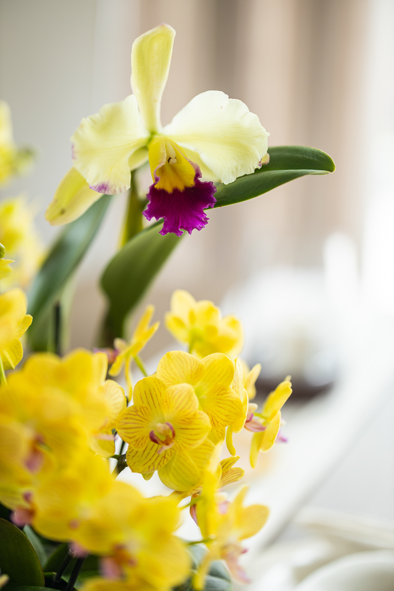Een zomerse tafelsetting met orchideeën