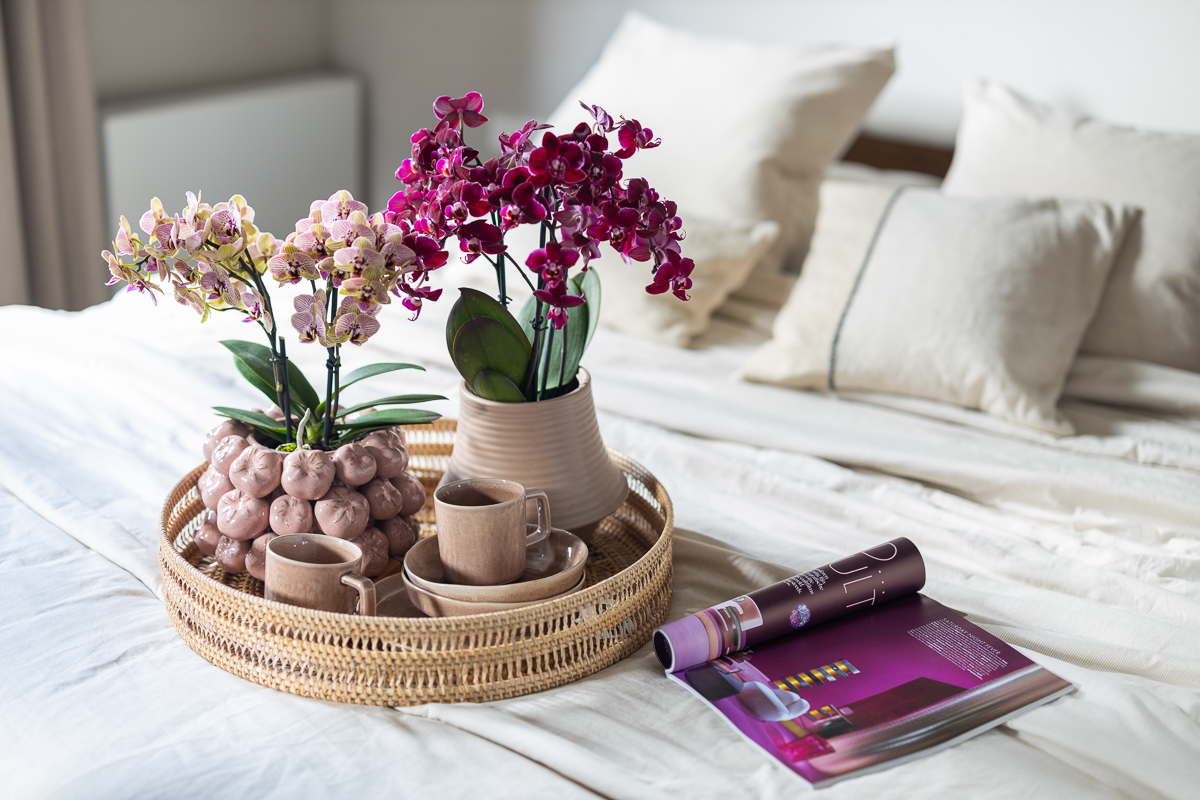 Die Vorteile von Orchideen