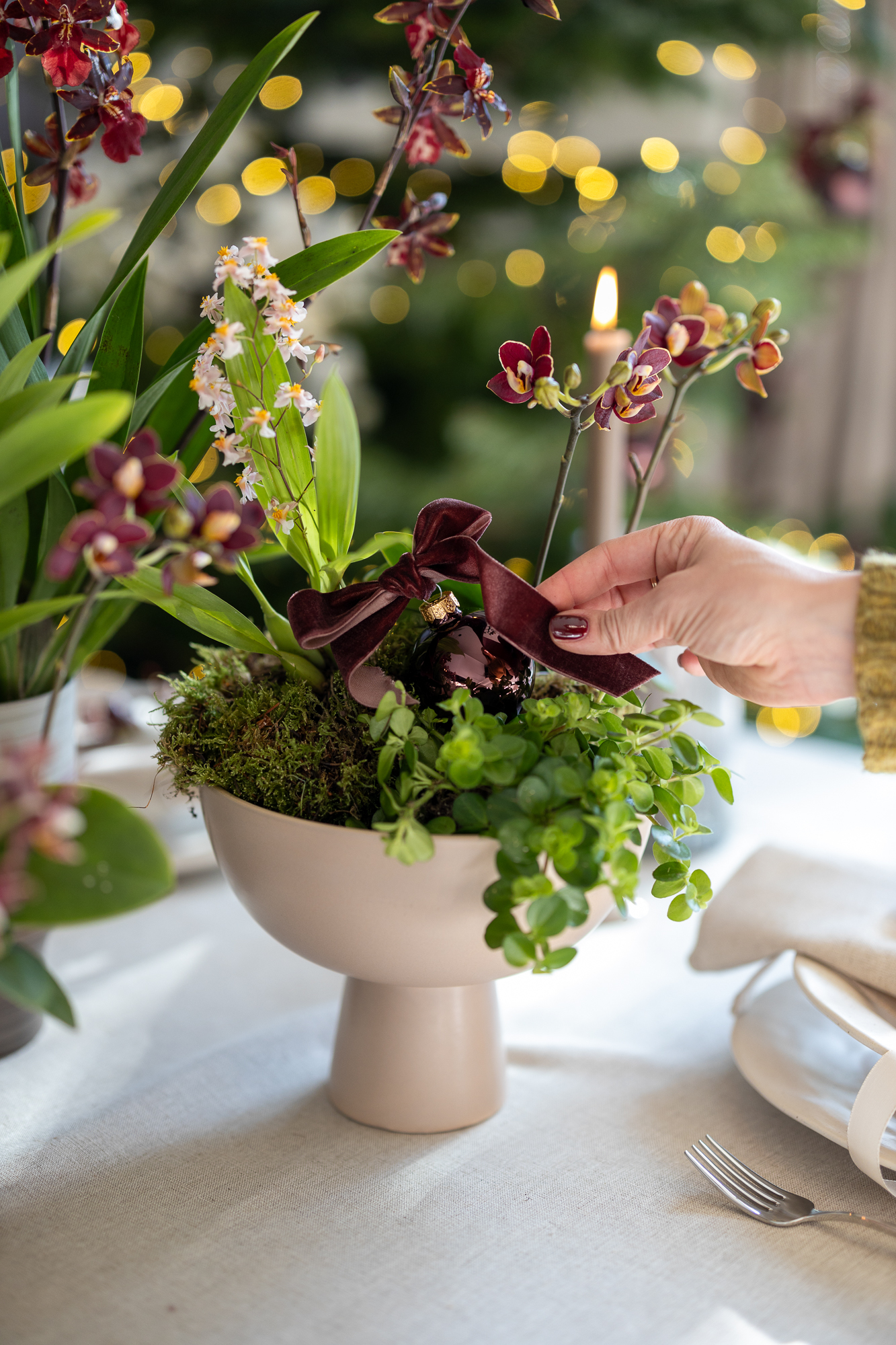 Maak je eigen Christmas kerst-arrangement met mini-orchideeën