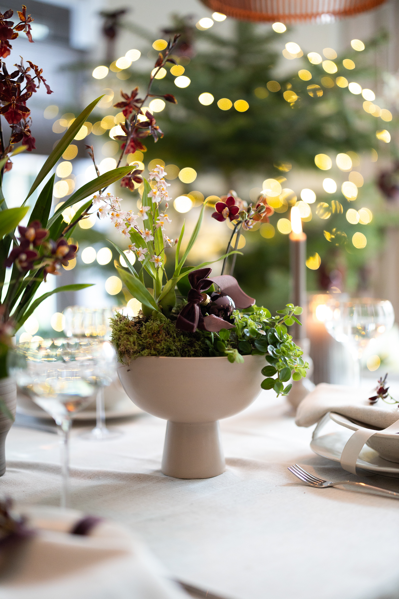 Maak je eigen kerst-arrangement met mini-orchideeën