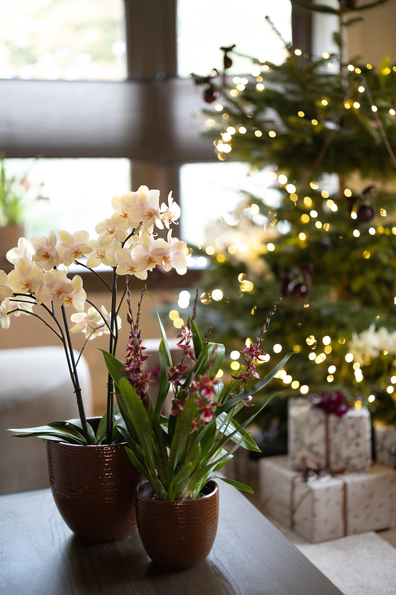 Go all out dit jaar met orchideeën in je kerstboom