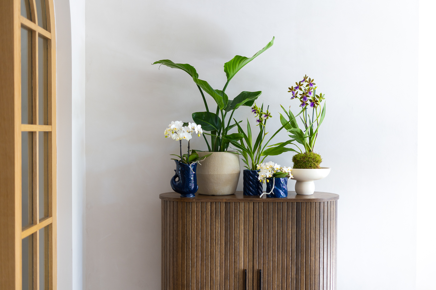 Eén plant, eindeloze mogelijkheden: 3x orchidee styling