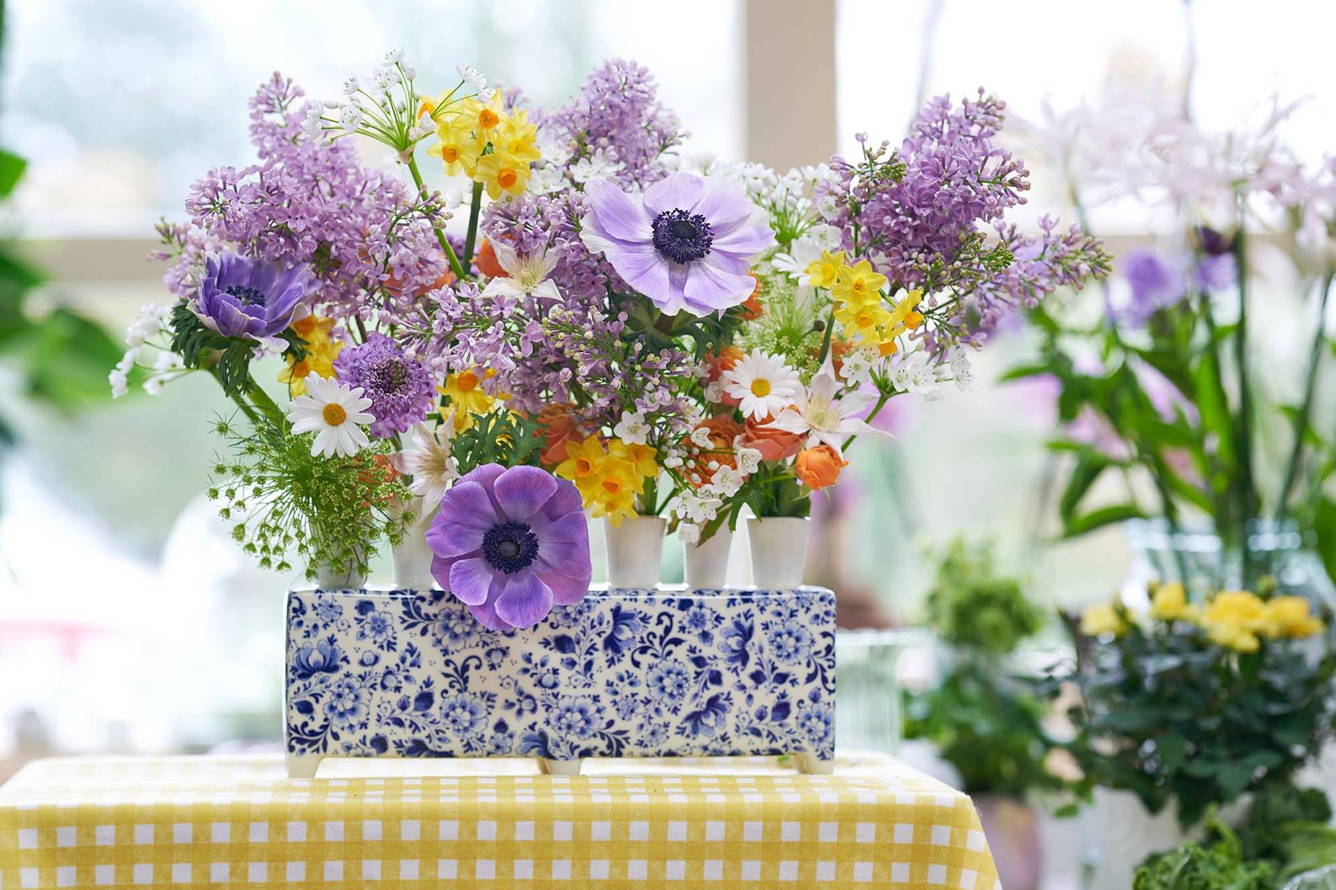 Stijltrend Nostalgic Lens