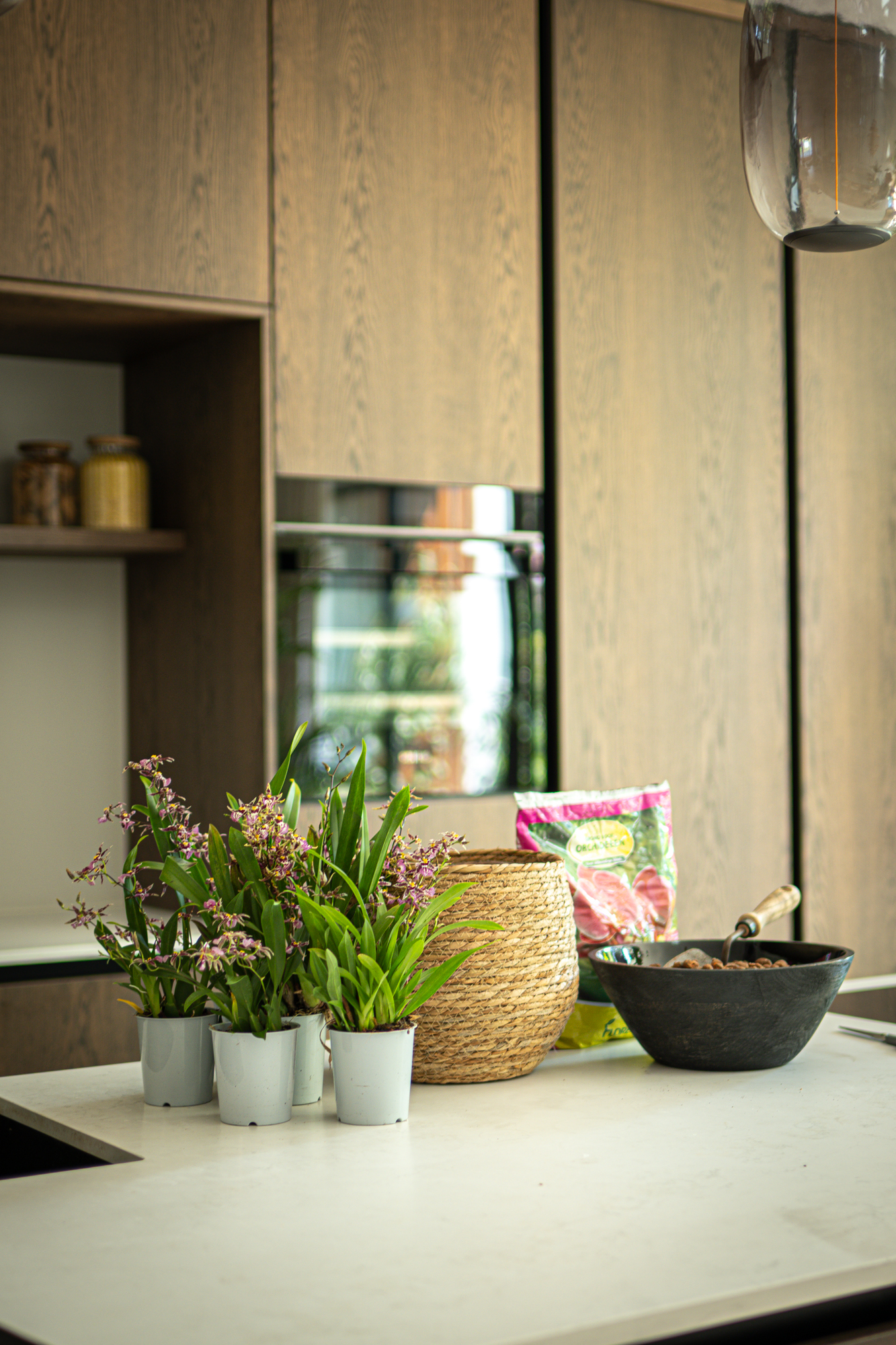 DIY: Mini orchidee arrangement