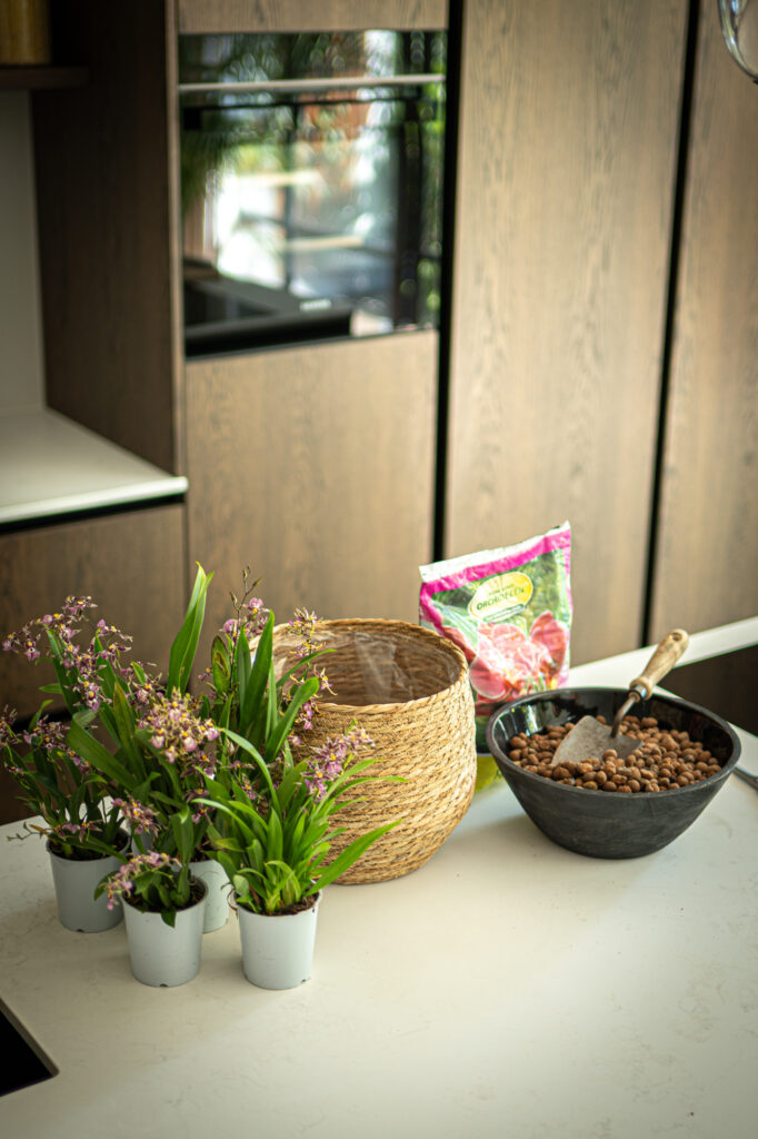DIY: Mini orchidee arrangement
