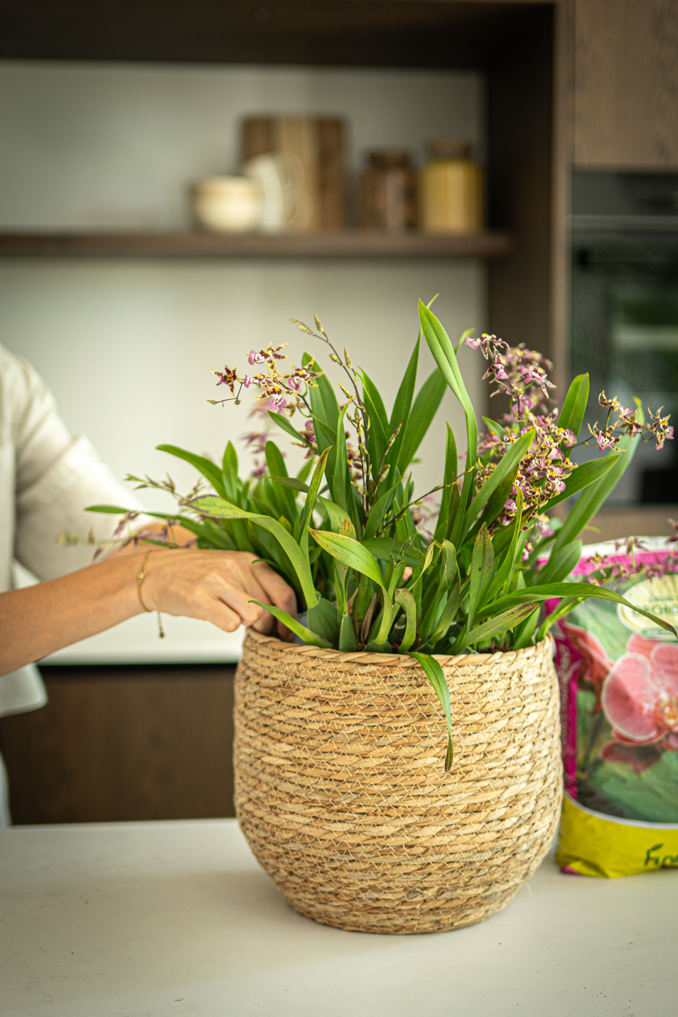DIY: Mini orchidee arrangement