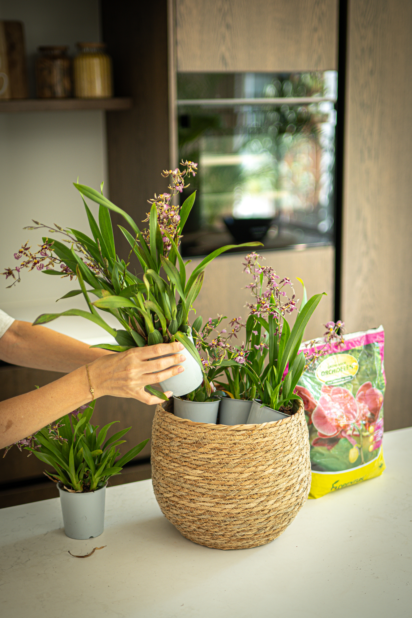 DIY: Mini orchidee arrangement