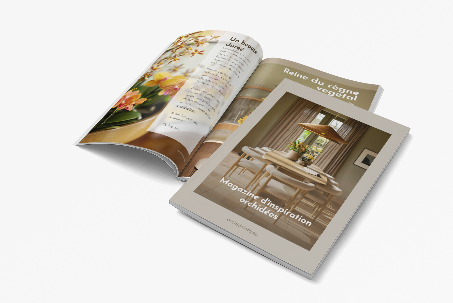Inspiratiemagazine 2026 FR